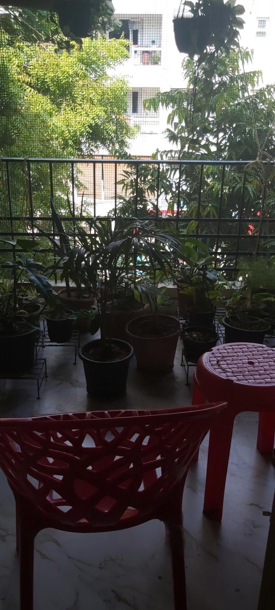 Lulu's Bliss Chennai
